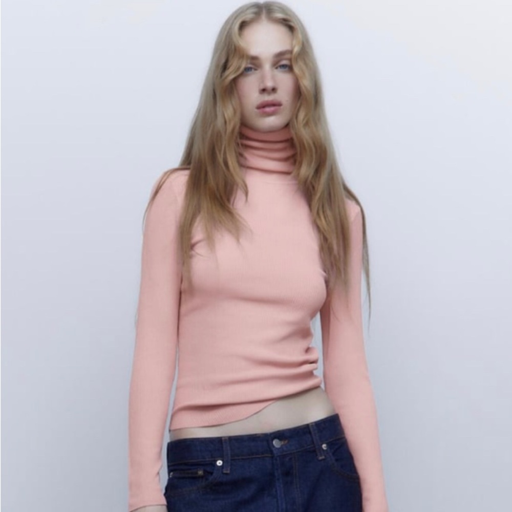 Zara Ribbed Turtle Neck